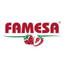 FAMESA